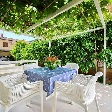 Apartman Ema Novigrad Istria Exteriér fotografie